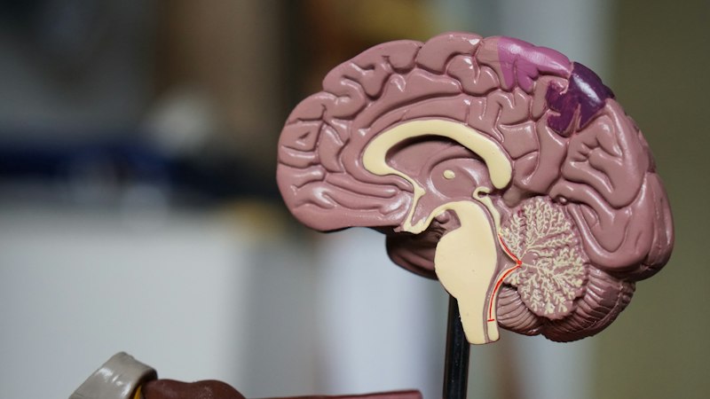 Medical research